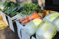 写真：葛飾区内で採れた野菜など