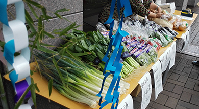 写真：葛飾区内で採れた野菜など（2019年の農業交流市より）