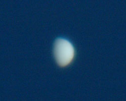 金星（2004年1月29日）